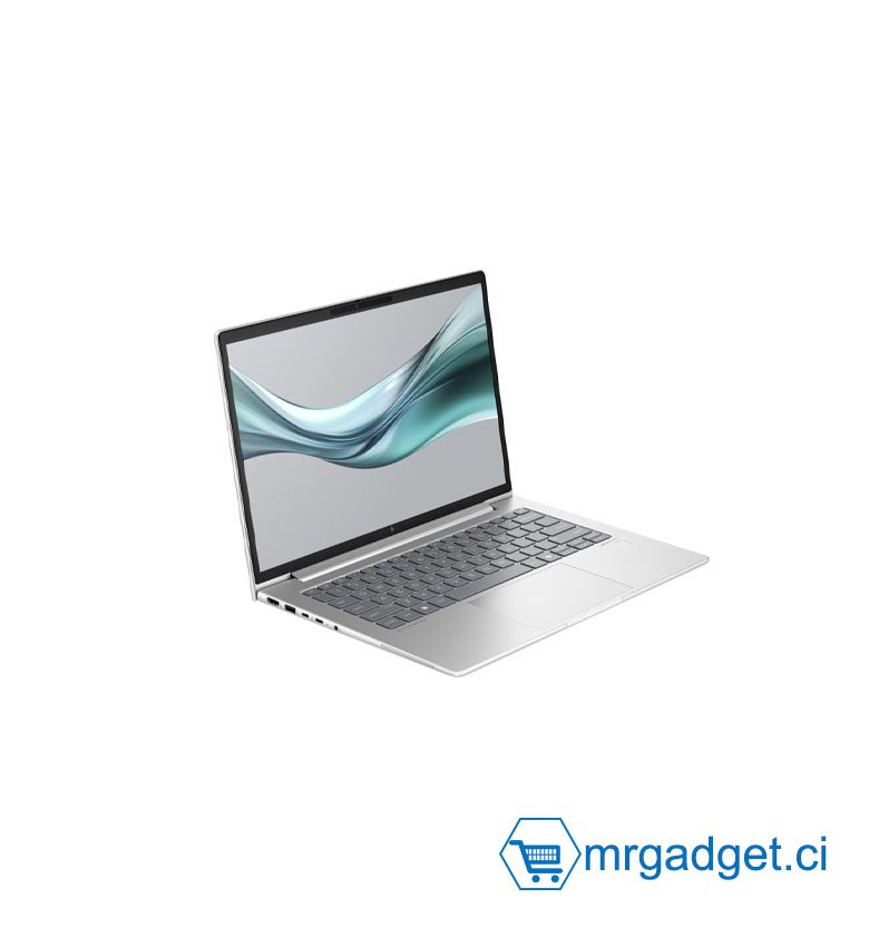 Ordinateur Portable Professionnelle HP EliteBook 645 G11 Notebook - AMD Ryzen 5 - 7535U / jusqu'à 4.55 GHz - Win 11 Pro - Radeon 660M - 16 Go RAM - 256 Go SSD NVMe - 14" IPS 1920 x 1200 - Gigabit Ethernet - Wi-Fi 6E -  Brochet argent aluminium