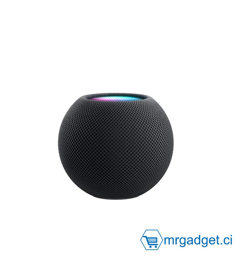 Enceinte portable Apple HomePod mini (Gris sidéral)