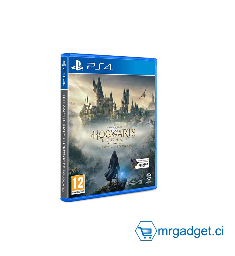 Hogwarts Legacy : L'Héritage de Poudlard, version PS4