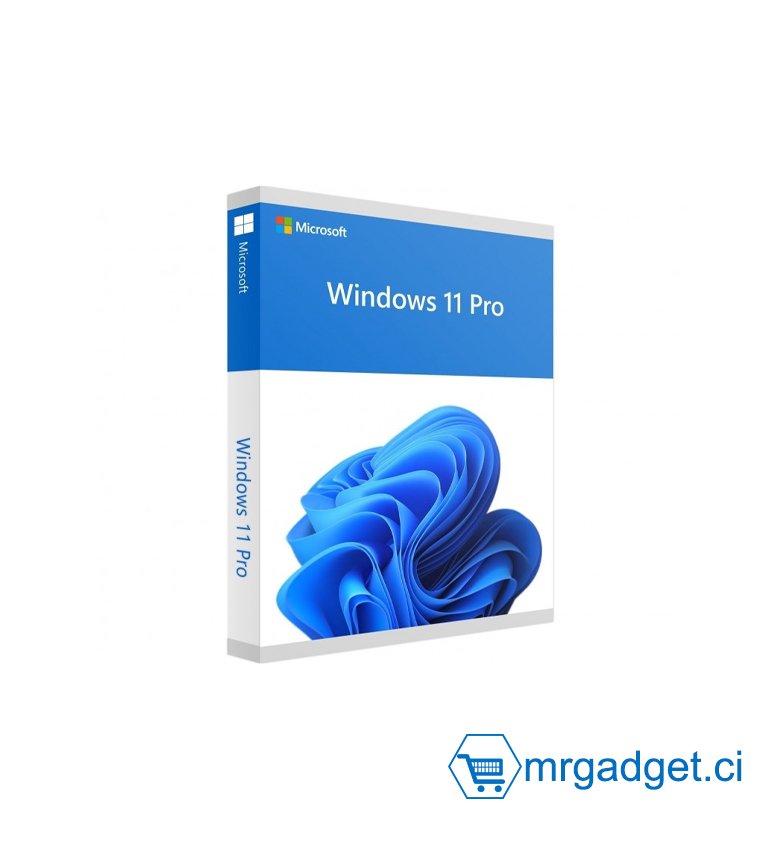 Microsoft Windows 11 Pro 64 bits -Licence numérique Vendu sur support USB (Clé pour Setup + Licence dans le fichier Excel ou Bloc Note)