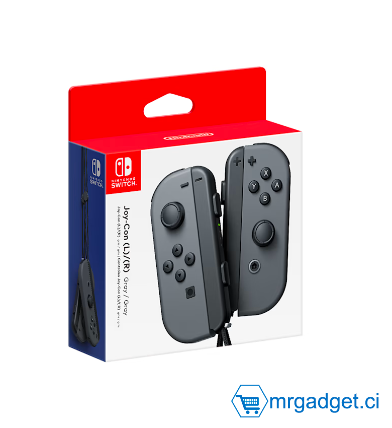 Nintendo Switch Paire de manettes Joy-Con –  (L)/(R) gris