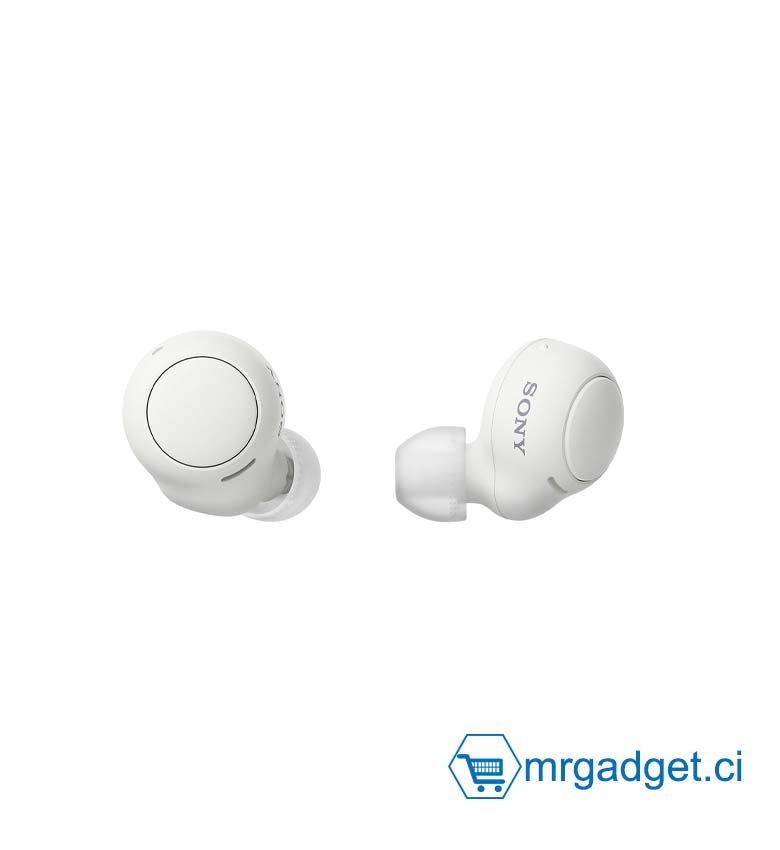 Sony WF-C500 - Ecouteur bluetooth sans fil - Jusqu'à 20h d'autonomie avec le boîtier de charge - Compatible assistants vocaux - Micro intégré appels mains libres - Connexion Bluetooth stable - Blanc