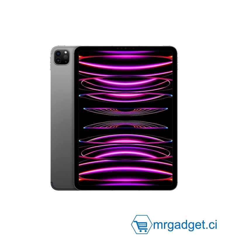 Apple 2022 iPad Pro M2 11 Pouces (Wi-FI + Cellular, 256 Go) - Gris sidéral (4ᵉ génération)