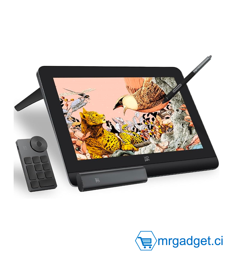 XP-PEN Artist Pro 16 (Gen 2) Tablette Graphique, Tablette Graphique Dessin avec Écran Laminé, Stylet Passif à 16K(16384) Niveaux de Pression, Résolution 2560 x 1600, 159% sRGB, Mini Clavier Fourni