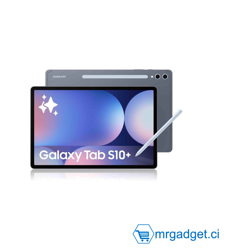 Samsung Galaxy Tab S10+ 12.6'' WiFi 256 Go, Tablette Android avec Galaxy AI, S Pen +, Gris (Moonstone Gray)