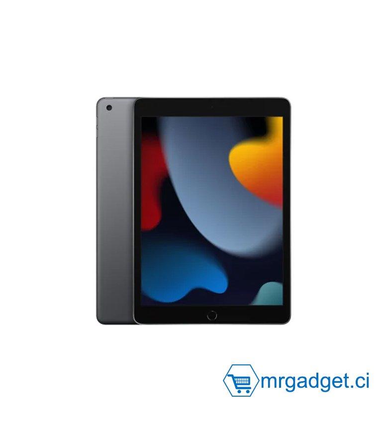 2021 Apple Tablette iPad (10,2 pouces, Wi-Fi, 64 Go) - Gris Sidéral (9ᵉ génération)