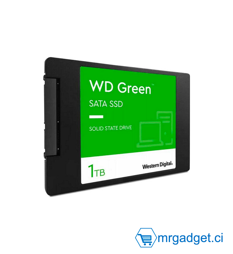 Western Digital Disques Dur SSD interne - SSD SATA WDS100T3G0A  - SSD Data - 1TB
