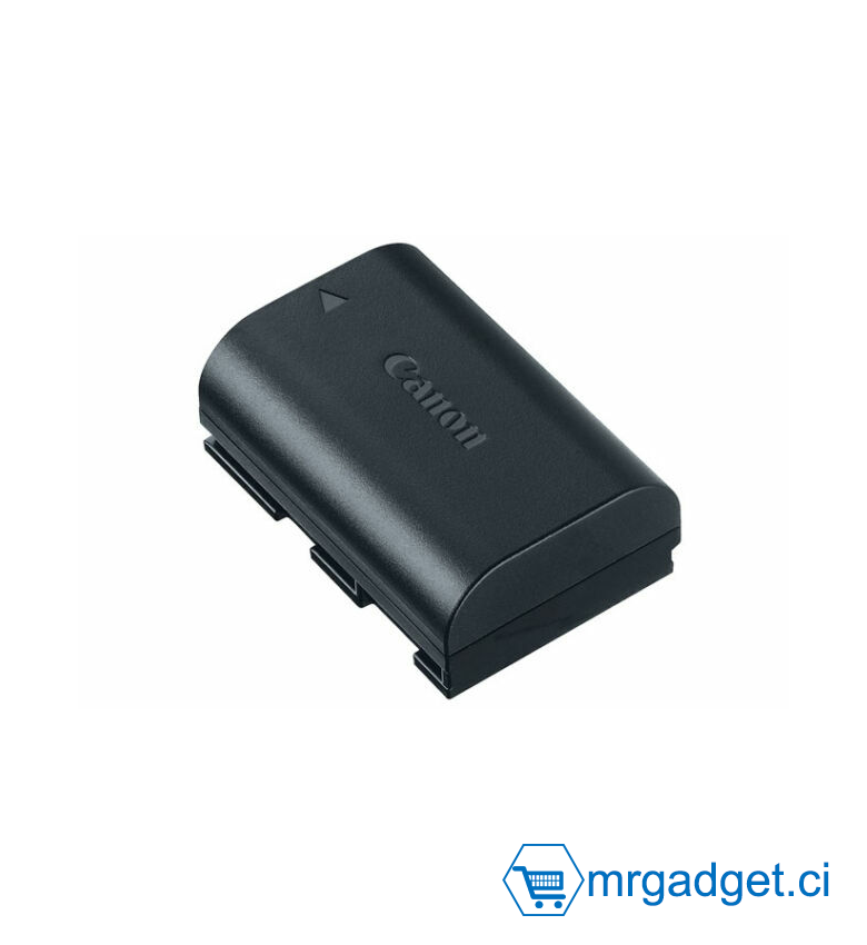 CANON LP-E6N Batterie pour appareil photo Canon Lithium-ion 1865mAh