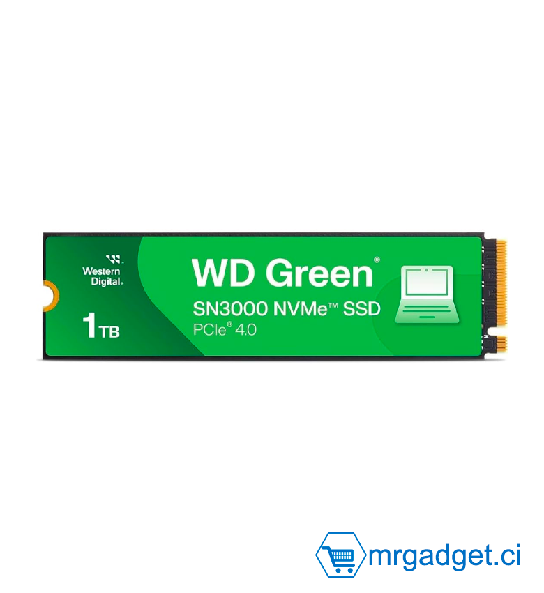 Western Digital Internal SSD - Disques Dur SSD interne - WD SN3000 NVMe Green 1TB - Solid State Drive - Gen4 PCIe, M.2 2280, Jusqu'à 5.000 MB/S - WDS100T4G0E -