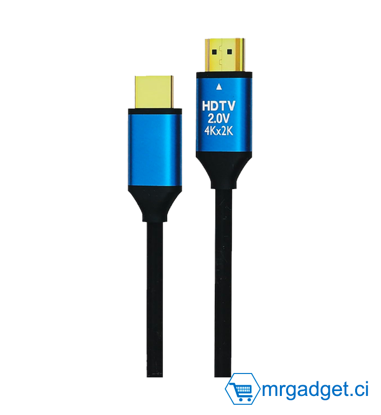 HDTV 2.0 ACTIVE OPTICAL CABLE 4K (2160P ULTRA HD)  CABLE HDMI  Longueur : 100 mètres