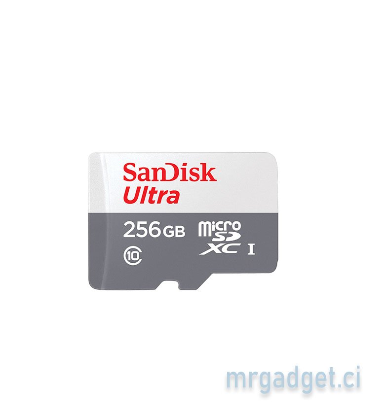 SANDISK - Carte mémoire - 256 Go Carte micro