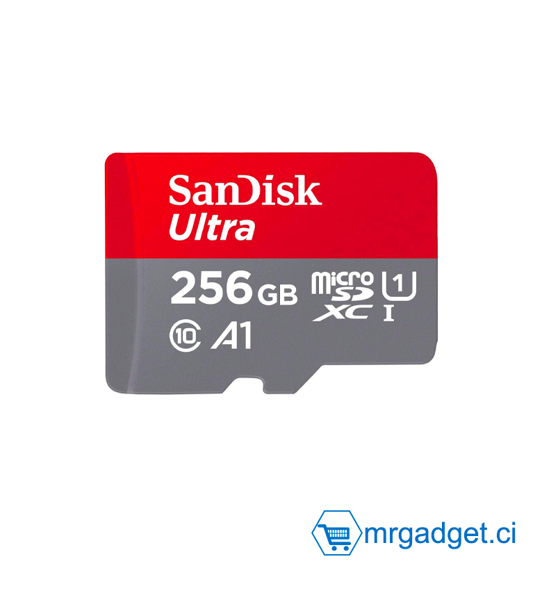 SanDisk Carte mémoire  Ultra microSDXC UHS-I 256 Go (pour smartphones et tablettes Android et appareils photo MIL, A1, C10, U1, transfert 100 Mo/s)