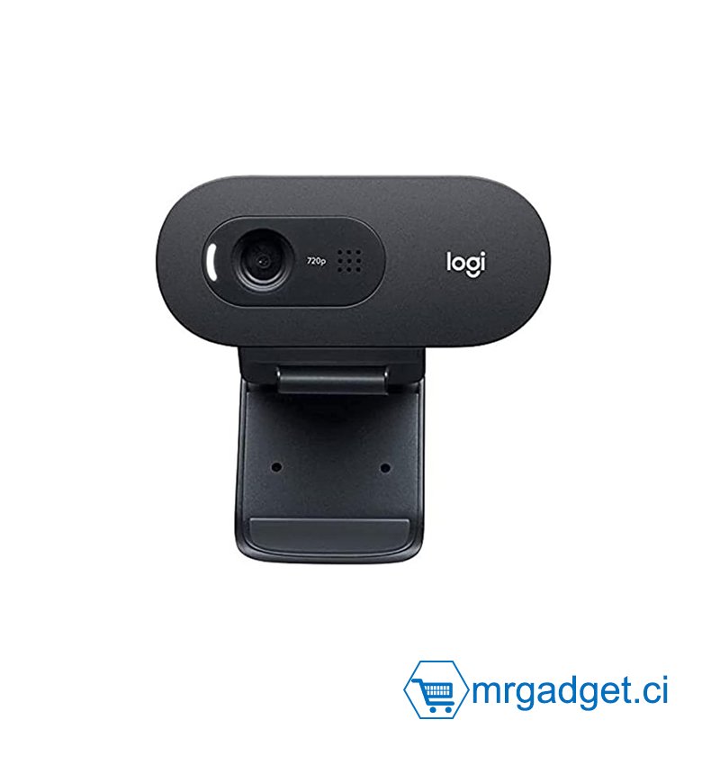 Logitech C505e Webcam Professionnelle HD - Webcam USB HD 720p pour Ordinateur de Bureau et Ordinateur Portable, avec Microphone Longue Portée, Compatible avec PC, Mac ou Chromebook - Gris