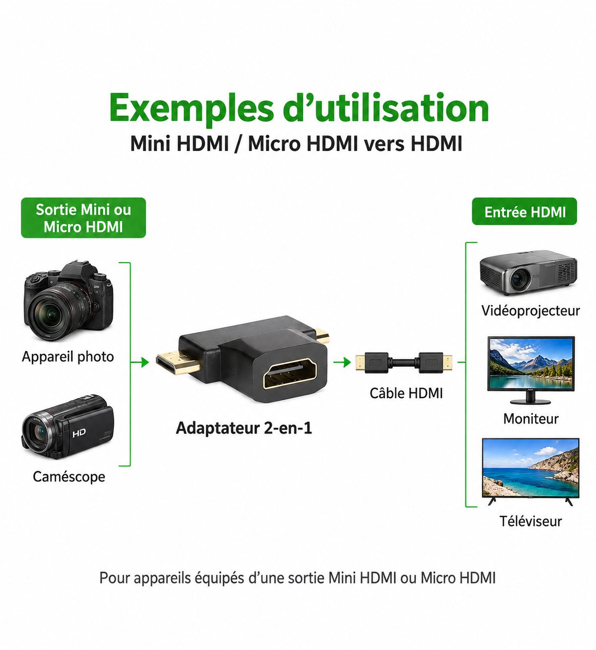 Adaptateur 2-en-1 Mini HDMI et Micro HDMI mâles vers HDMI femelle pour appareil photo et caméra – Noir