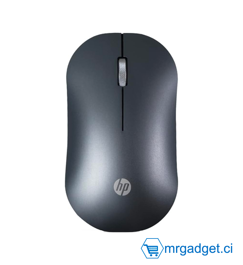 Souris sans fil Bluetooth HP DM10 2,4 GHz avec fonction muet (noir)